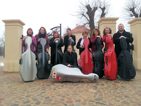 3. Cello-Workshop: <span>14. - 07. Februar 2013 </span>Rheinsberg